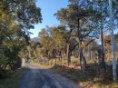 Chemin de la Forge